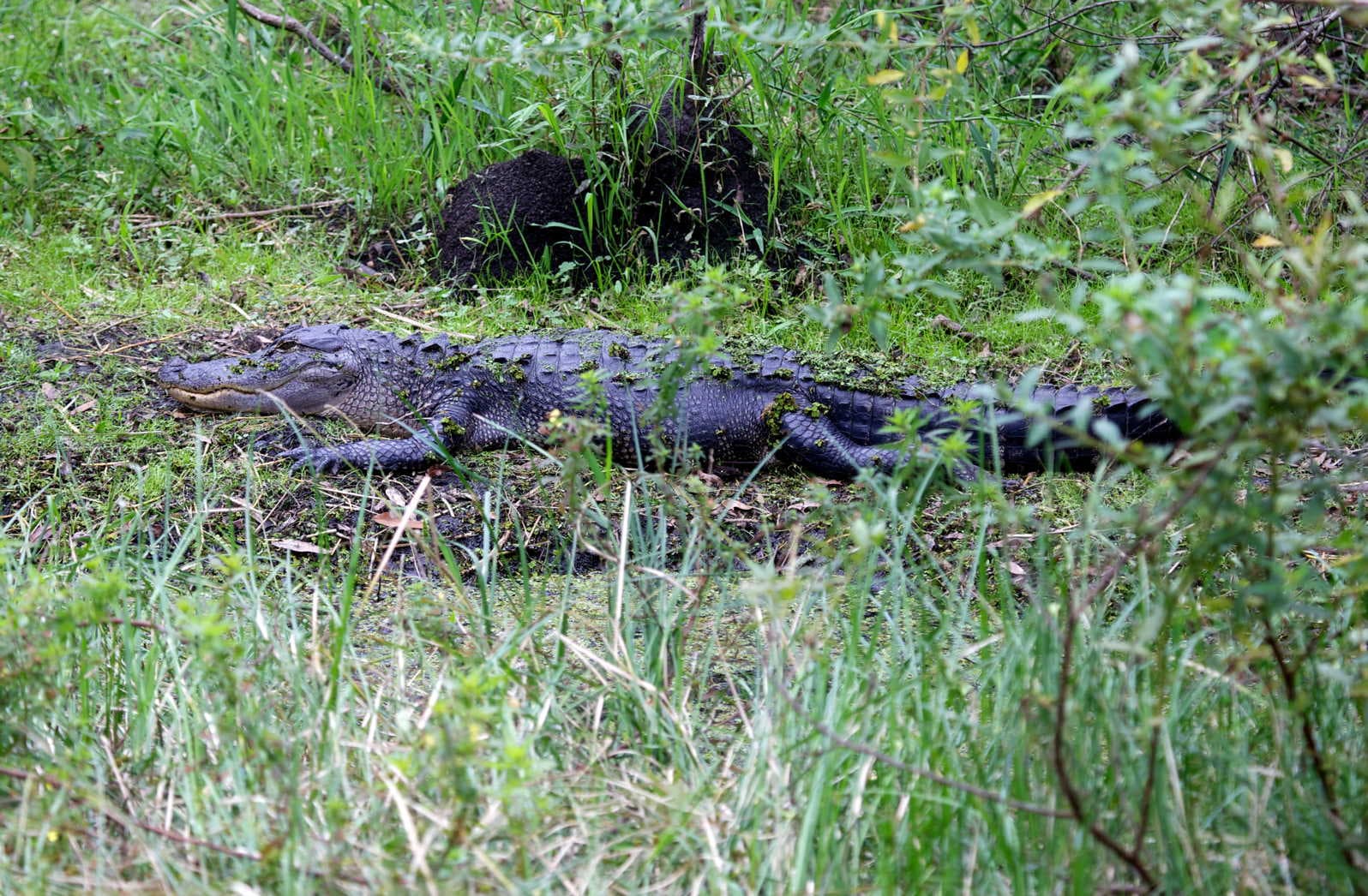 Circle B Bar Reserve